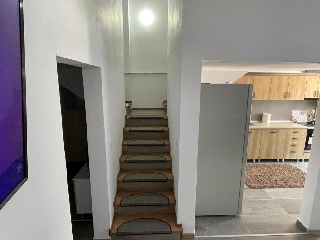 Apartament Stefi Sighisoara Exterior photo